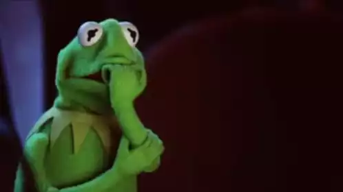 Kermit The Frog Anxious